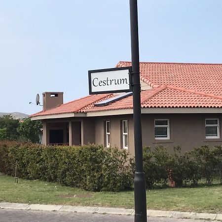 Apartament Whale Rock Gardens Plettenberg Bay Zewnętrze zdjęcie